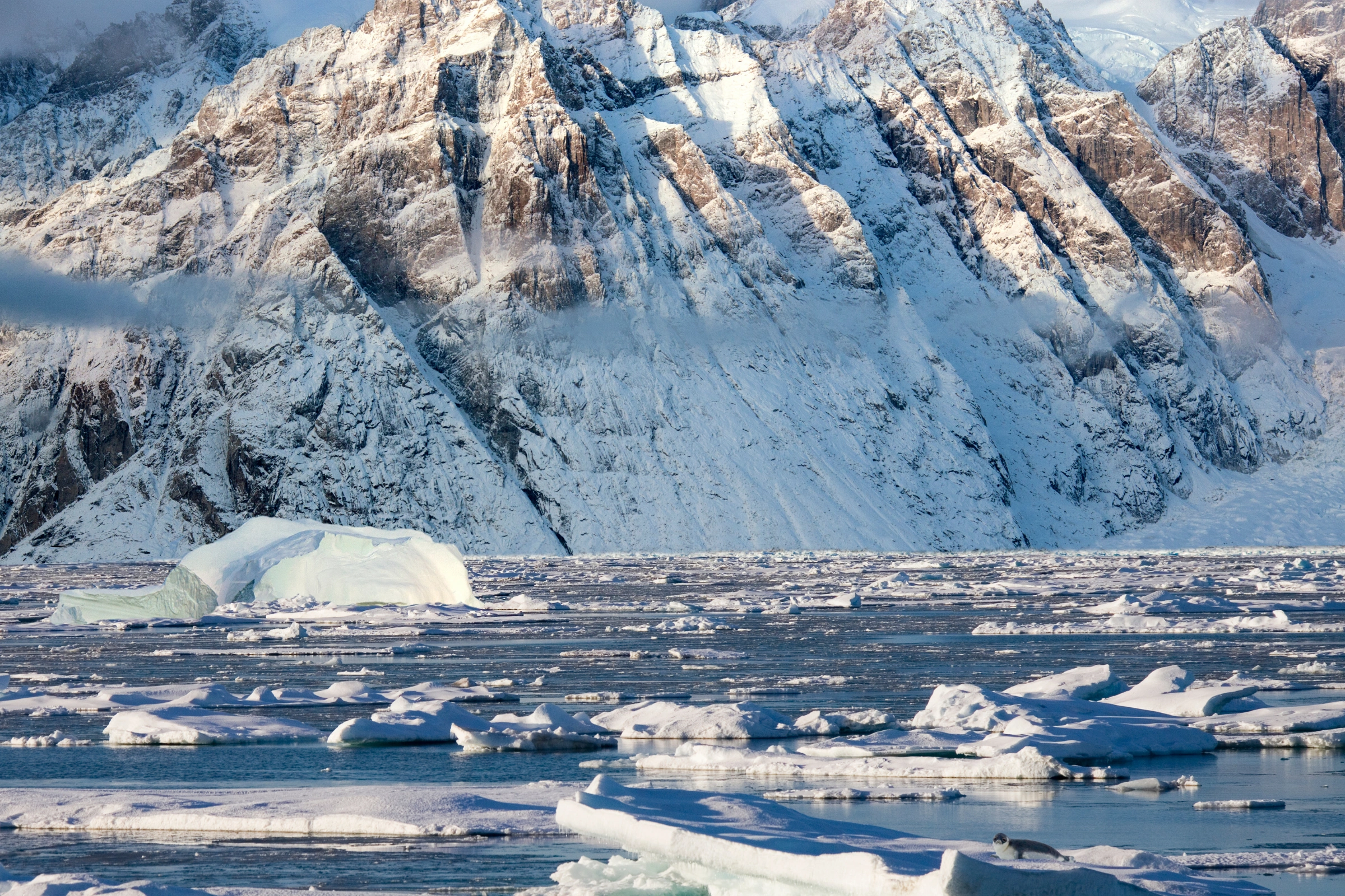 King_Oscar_Fjord[1].webp